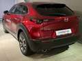 Mazda CX-30 Selection X-186/Design-P./Premium-P./Leder/Navi/He Rouge - thumbnail 4