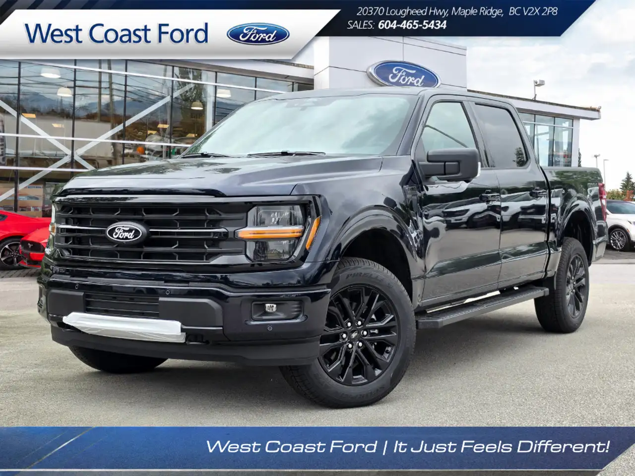 2026 Ford F 150
