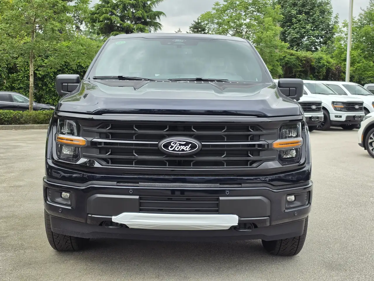 Ford F 150 снимка Ford F 150