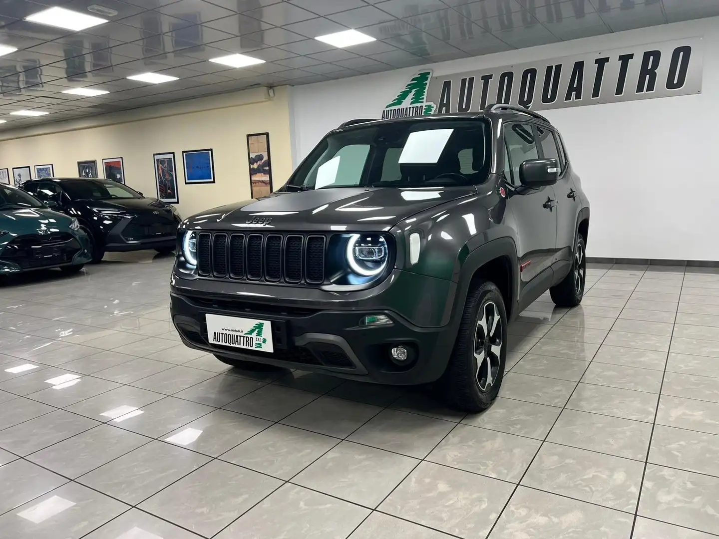 Jeep Renegade Renegade 2.0 mjt Trailhawk 4wd 170cv auto 9m Grigio - 2