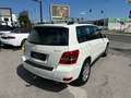 Mercedes-Benz GLK 220 GLK 220 CDI 4MATIC BlueEfficiency Aut. Weiß - thumbnail 15