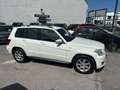 Mercedes-Benz GLK 220 GLK 220 CDI 4MATIC BlueEfficiency Aut. Weiß - thumbnail 2