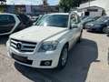 Mercedes-Benz GLK 220 GLK 220 CDI 4MATIC BlueEfficiency Aut. Weiß - thumbnail 9