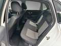 Volkswagen Polo V Style 1.6 TDI Blanc - thumbnail 14