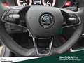 Skoda Fabia MONTE CARLO NAVI SITZHEIZUNG EINPARKHILFE LED Grau - thumbnail 14