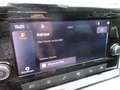 SEAT Ibiza Style 1.0 TSI DSG APP LED ALU APS SITZHEIZUNG DAB GJR CLIMATRONIC eFH ZV Grau - thumbnail 10