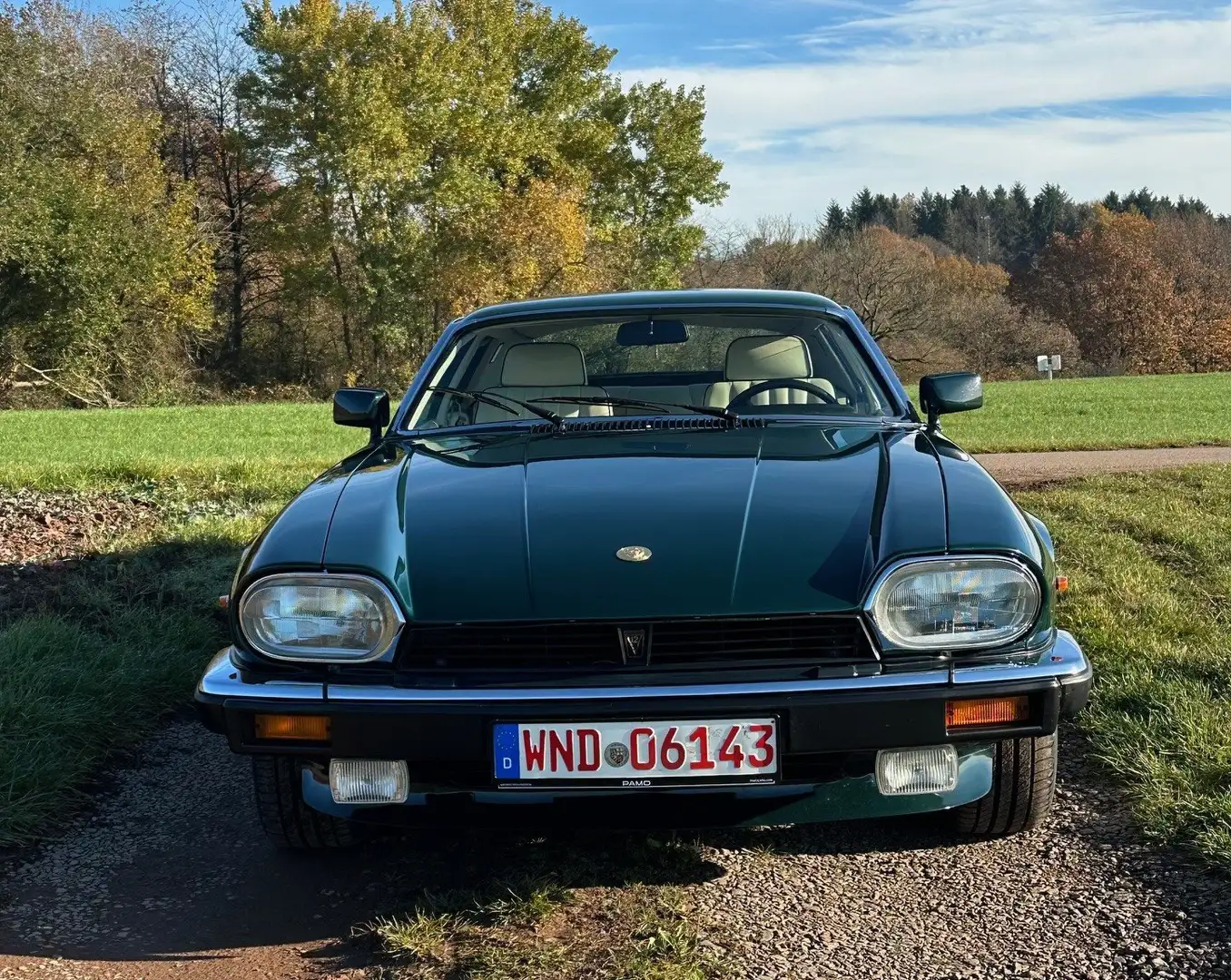 Jaguar XJS XJS V12 Le Mans Edition Grün - 2