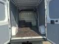 Fiat Ducato Ducato - thumbnail 10