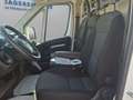 Fiat Ducato Ducato - thumbnail 11