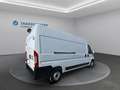 Fiat Ducato Ducato - thumbnail 5