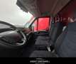 Iveco Daily 35S12 2.3 HPT PL CASSA Rosso - thumbnail 5
