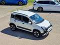 Fiat New Panda 1000 FireFly Hybrid 70CV Cross 5 Porte *Km. Zero* Bianco - thumbnail 1