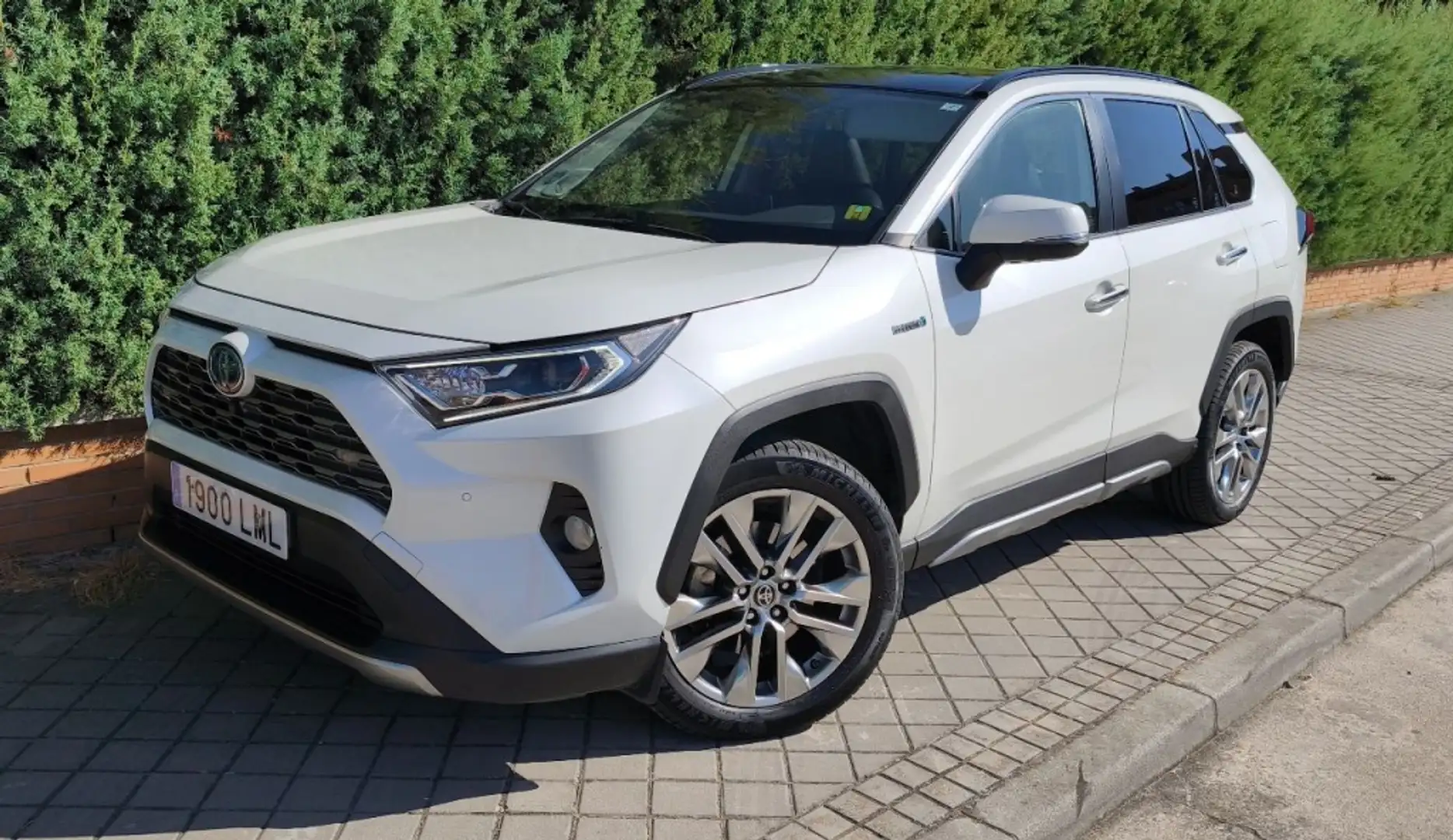 Toyota RAV 4 2.5 hybrid 4WD Luxury - 2