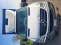 Mercedes-Benz 416 - thumbnail 1