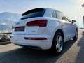 Audi Q5 2.0 TDI quattro Sport s-tronic 1. Besitz Weiß - thumbnail 12