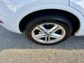 Audi Q5 2.0 TDI quattro Sport s-tronic 1. Besitz Weiß - thumbnail 14