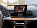 Audi Q5 2.0 TDI quattro Sport s-tronic 1. Besitz Weiß - thumbnail 31