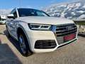 Audi Q5 2.0 TDI quattro Sport s-tronic 1. Besitz Weiß - thumbnail 4