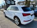 Audi Q5 2.0 TDI quattro Sport s-tronic 1. Besitz Weiß - thumbnail 8
