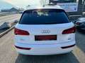 Audi Q5 2.0 TDI quattro Sport s-tronic 1. Besitz Weiß - thumbnail 10