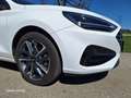 Hyundai i30 i30 CW 1,0 T-GDI Edition 30 Plus Edition 30 Plus Weiß - thumbnail 7