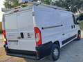 Fiat Ducato 3000 CNG L2 H1 Blanco - thumbnail 9