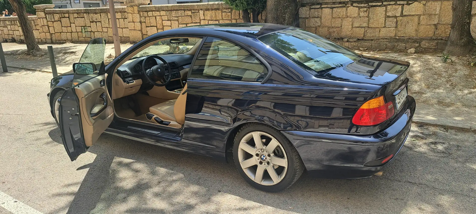 BMW 318 318 Ci Azul - 2
