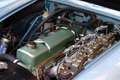 Austin-Healey 3000 MKIII BJ8 Bleu - thumbnail 19