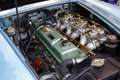 Austin-Healey 3000 MKIII BJ8 Bleu - thumbnail 18
