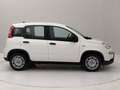 Fiat Panda 1.0 firefly hybrid s Blanc - thumbnail 6