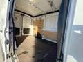 Ford Transit FT 310 L2 Van Trend 125 Blanco - thumbnail 12