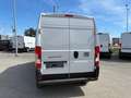 Fiat Ducato Maxi L4H2 140 M Weiß - thumbnail 3