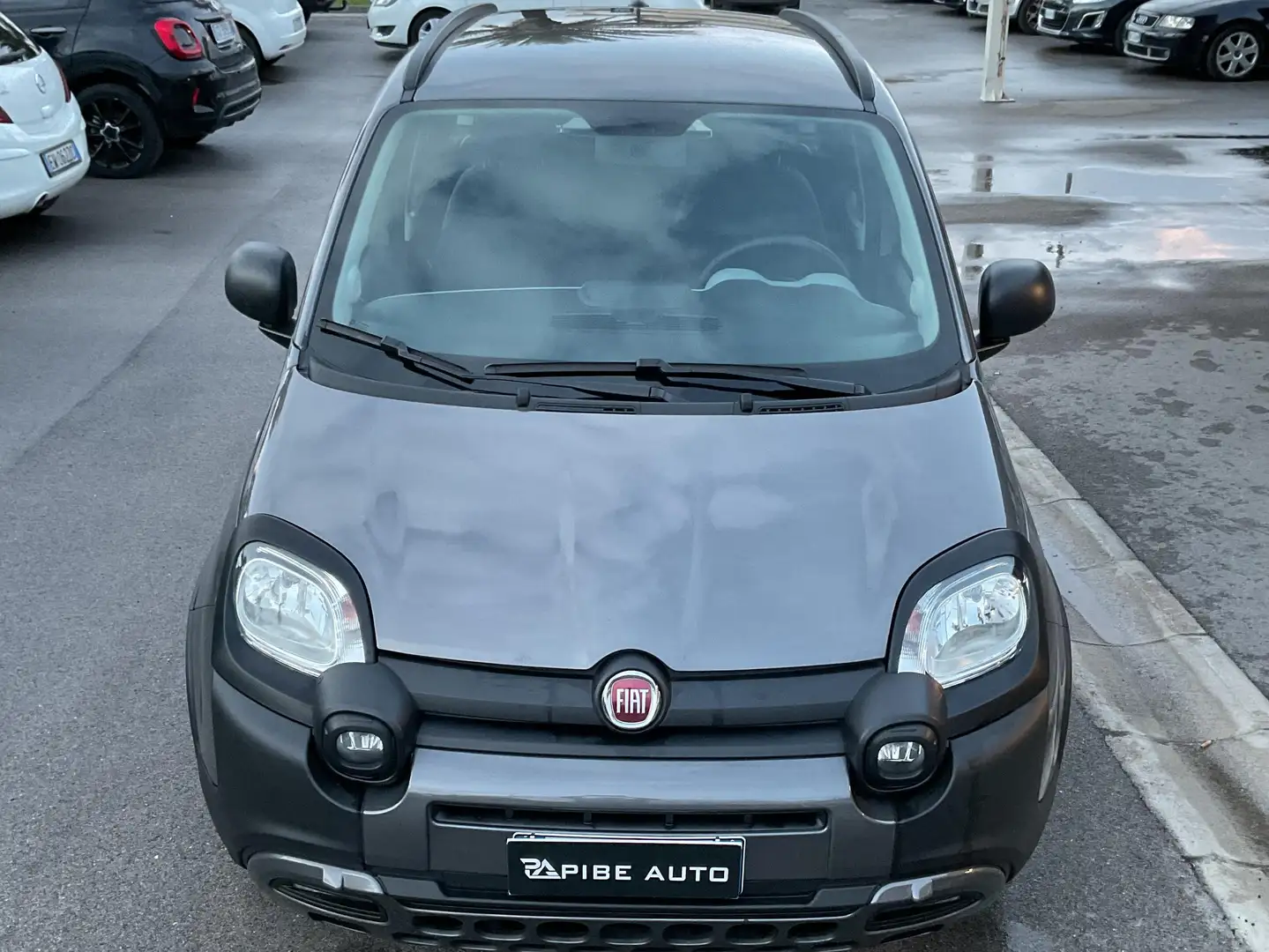 Fiat Panda Panda III 2021 Cross 1.0  hybrid City Cross s Gris - 2
