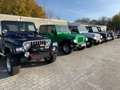 Jeep Wrangler TJ 2.4 Liter,5.Gang, G-Kat  Euro3 Zilver - thumbnail 35