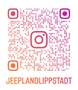 Jeep Wrangler TJ 2.4 Liter,5.Gang, G-Kat  Euro3 Zilver - thumbnail 18