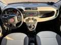 Fiat Panda Panda 1.2 Easy Rot - thumbnail 14