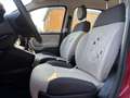 Fiat Panda Panda 1.2 Easy Rot - thumbnail 20