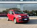 Fiat Panda Panda 1.2 Easy Rot - thumbnail 1