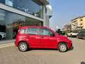 Fiat Panda Panda 1.2 Easy Rot - thumbnail 8