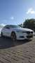 BMW 316 High Executive Wit - thumbnail 3