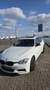 BMW 316 High Executive Wit - thumbnail 2