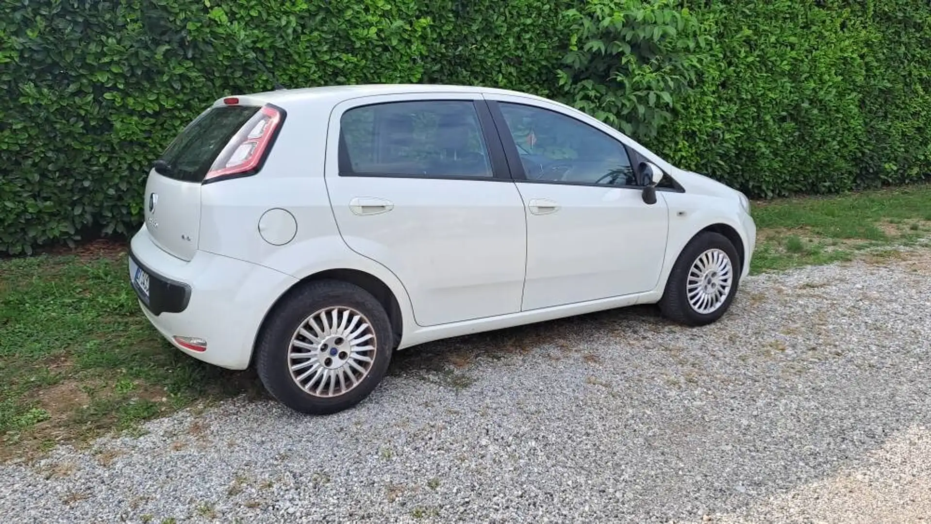 Fiat Grande Punto Grande Punto 1.3 MJT 75 CV 5 porte S&S Actual Bianco - 2