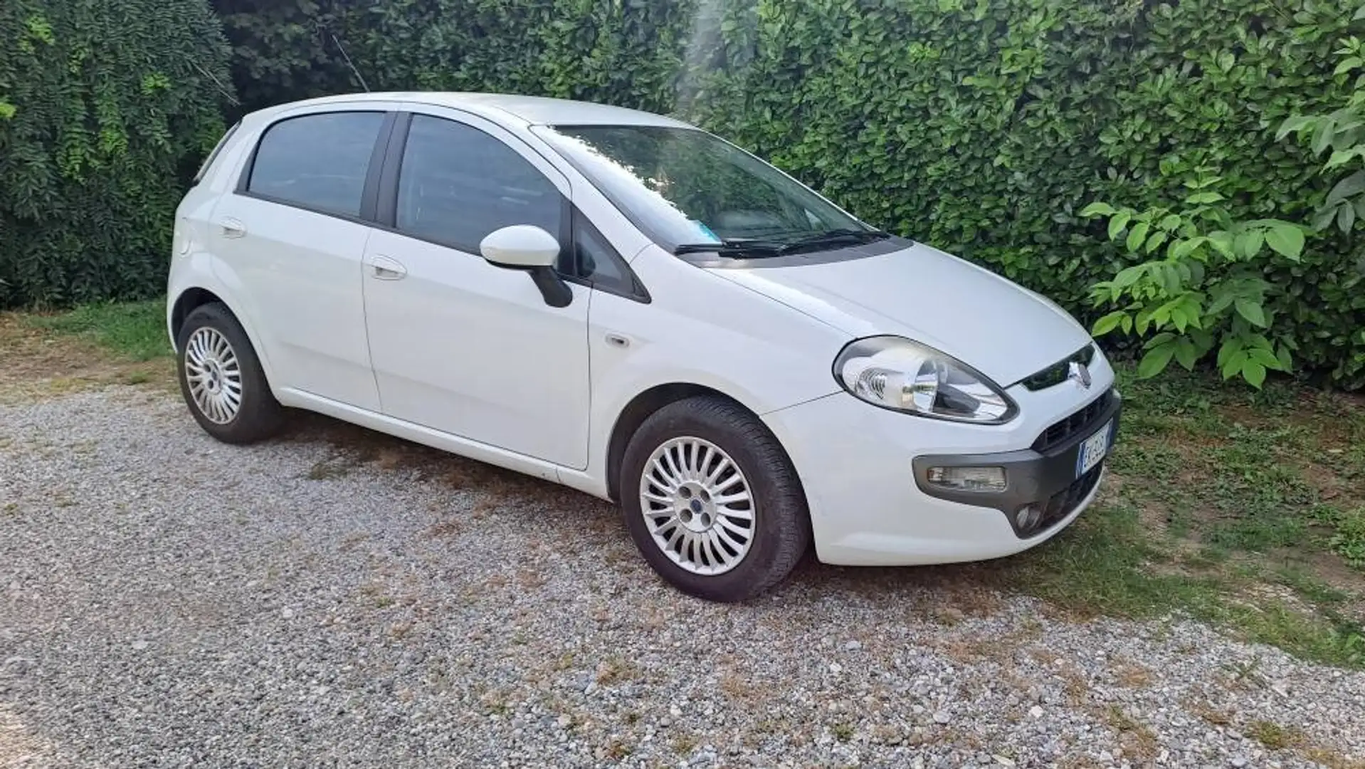 Fiat Grande Punto Grande Punto 1.3 MJT 75 CV 5 porte S&S Actual Bianco - 1