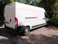 Citroen Jumper 33 L3H2  MOTORSCHADEN Wit - thumbnail 10