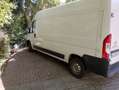 Citroen Jumper 33 L3H2  MOTORSCHADEN Wit - thumbnail 8