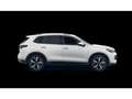 Volkswagen Tiguan 1.5 eHybrid OPF DSG Elegance Weiß - thumbnail 5