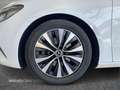 Mercedes-Benz B 200 - W247 2018 B 200 d Premium auto Bianco - thumbnail 16