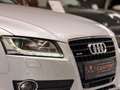 Audi A5 Sportback 3.0 TDI quattro V6/Leder/Xenon/BT Argent - thumbnail 2