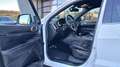 Jeep Grand Cherokee 3,0 V6 CRD Limited 4x4 +AHK Weiß - thumbnail 13