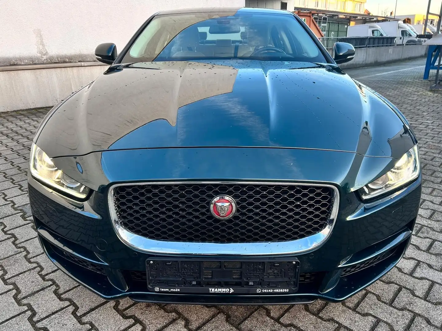 Jaguar XE AB 149€|2.HD|BI-XENON|SPUR|LEDER|SHZ|PDC| Vert - 2